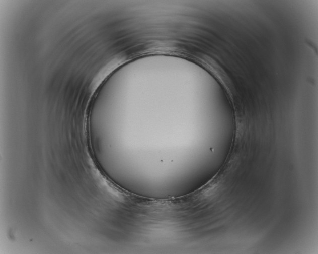 X0000099321050200805161356