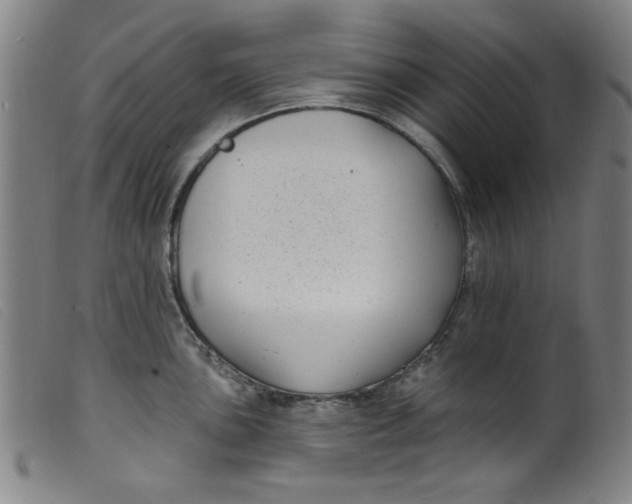 X0000099321051200805161356