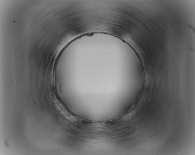 X0000099321052200805161356