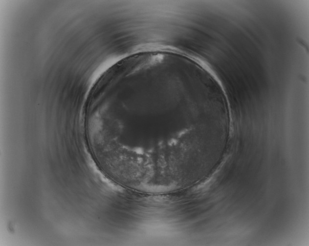 X0000099321053200805161356