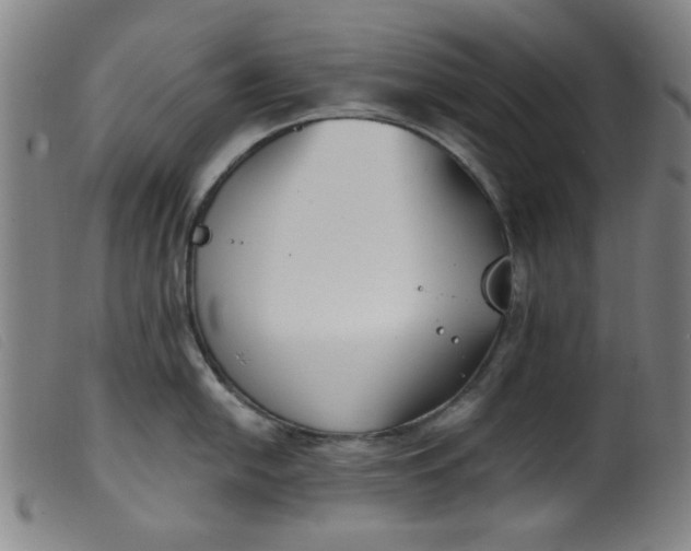 X0000099321054200805161356