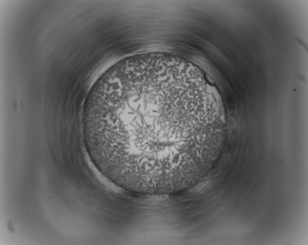 X0000099321055200805161356