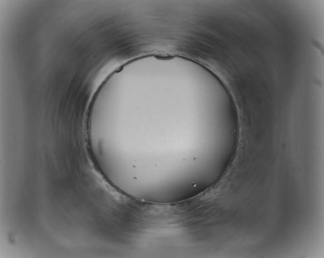 X0000099321056200805161356