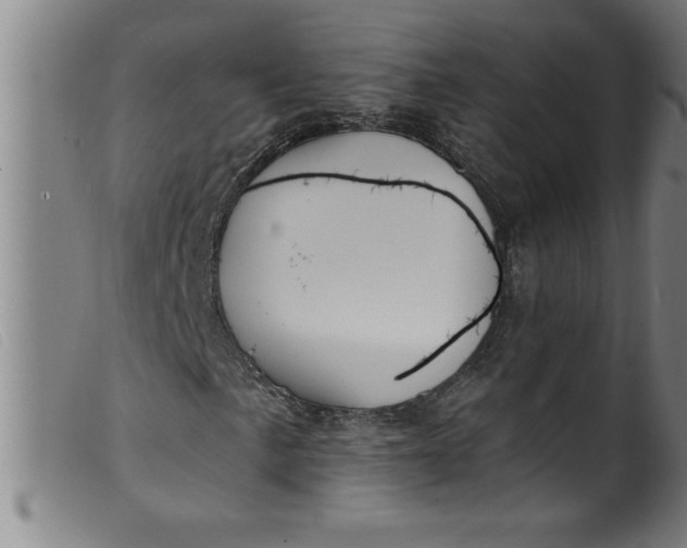 X0000099321057200805161355