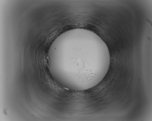 X0000099321058200805161355