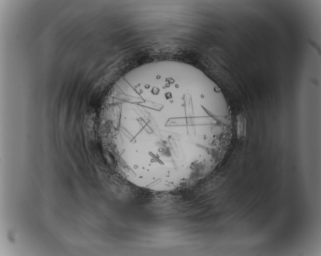 X0000099321059200805161355