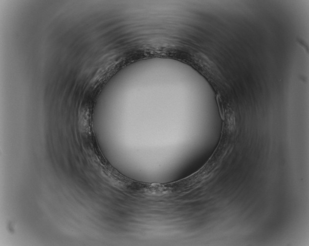 X0000099321060200805161355