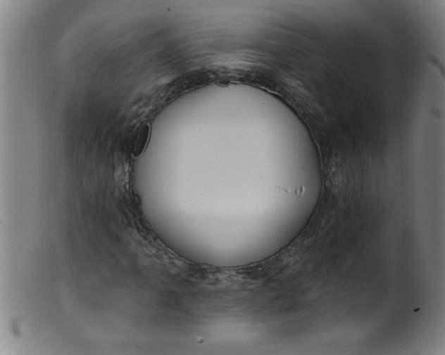 X0000099321061200805161355