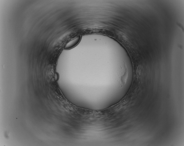 X0000099321062200805161355