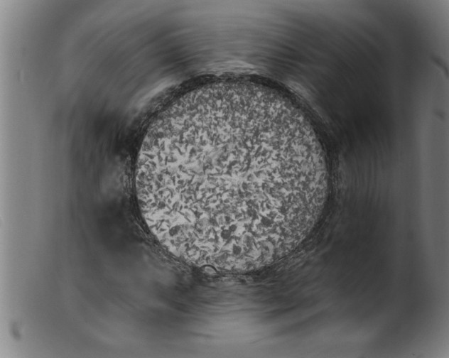 X0000099321063200805161355