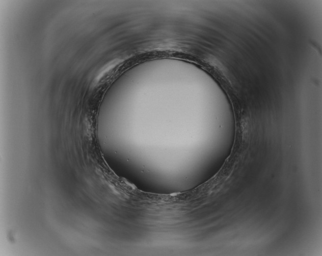 X0000099321064200805161355