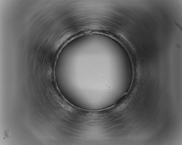 X0000099321065200805161355