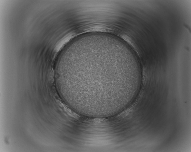 X0000099321067200805161355