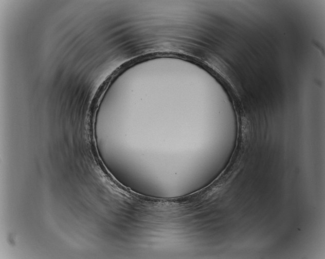 X0000099321068200805161355