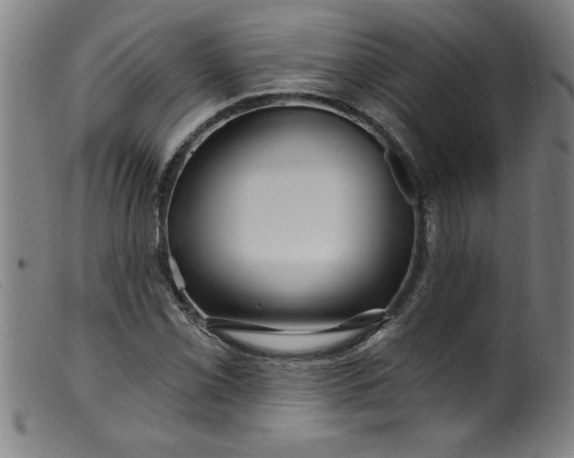 X0000099321069200805161355