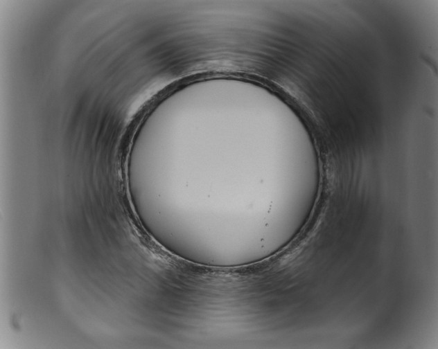 X0000099321070200805161355