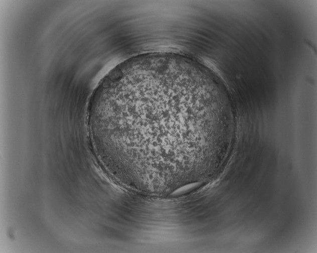 X0000099321071200805161355