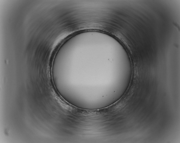 X0000099321072200805161355