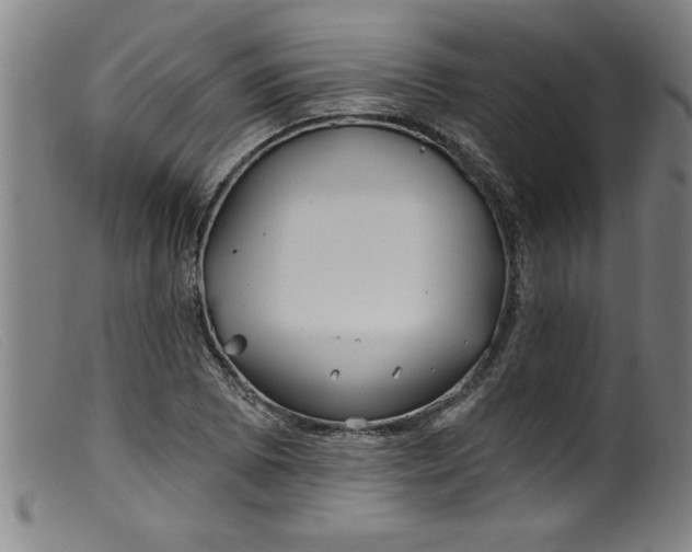 X0000099321073200805161355