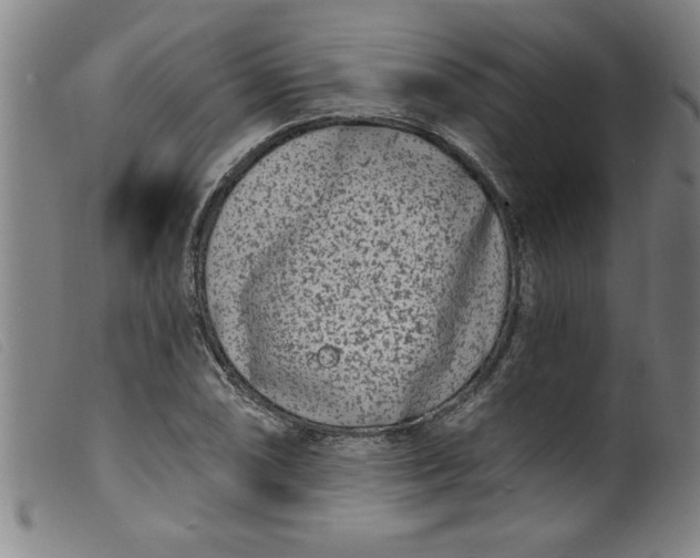 X0000099321074200805161355