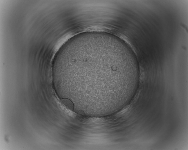 X0000099321075200805161355