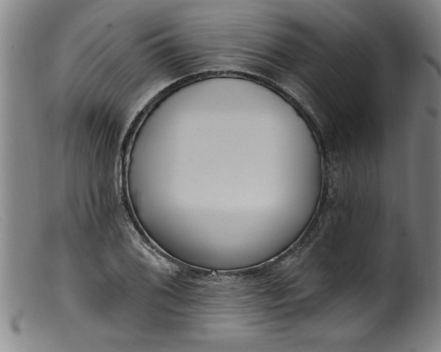 X0000099321076200805161355