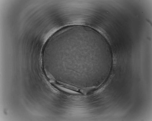 X0000099321077200805161355