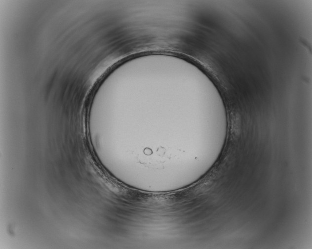 X0000099321078200805161355