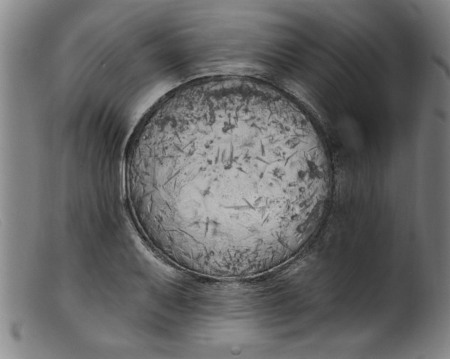 X0000099321079200805161355