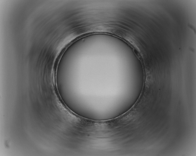 X0000099321080200805161355