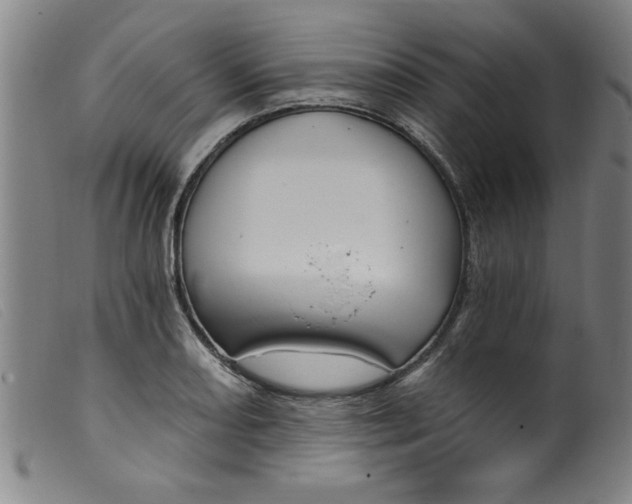 X0000099321082200805161355