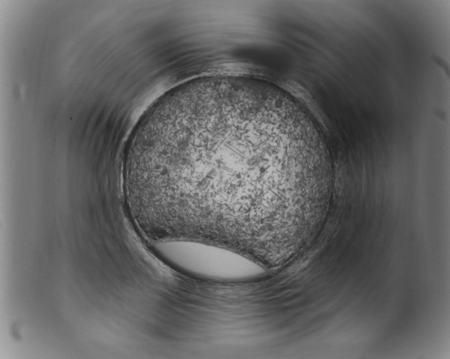 X0000099321083200805161355