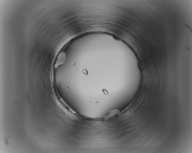 X0000099321084200805161355