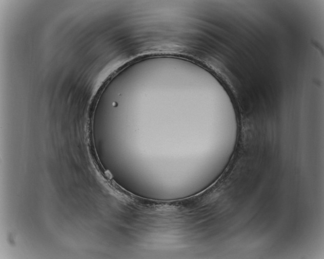 X0000099321085200805161355