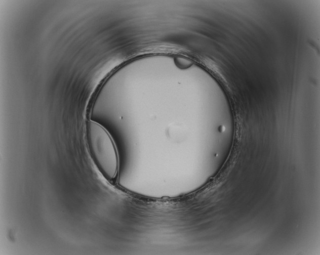 X0000099321087200805161355