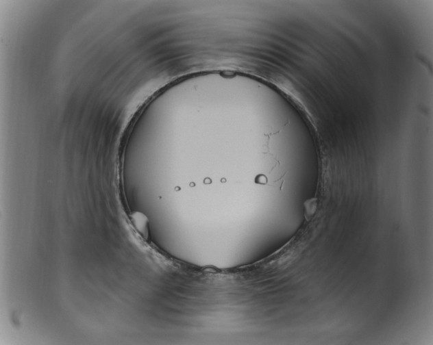 X0000099321088200805161355