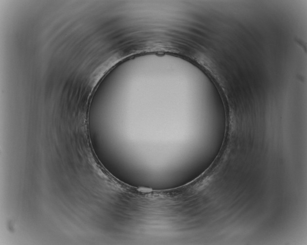 X0000099321089200805161355