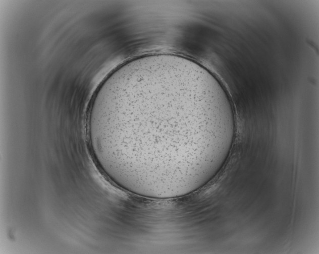 X0000099321090200805161355