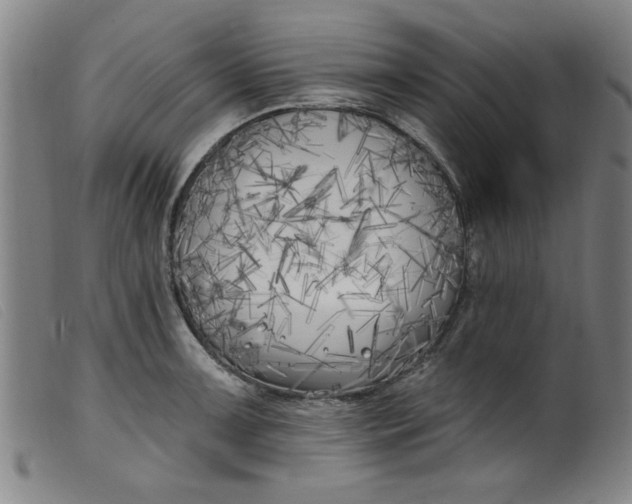 X0000099321091200805161355