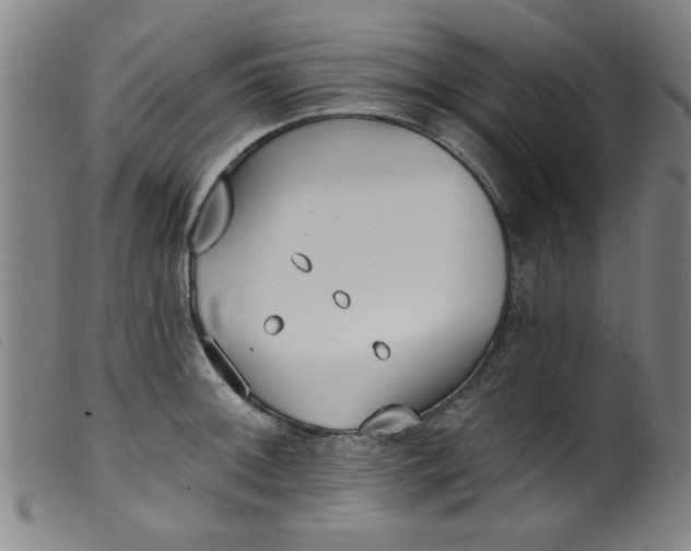 X0000099321092200805161355