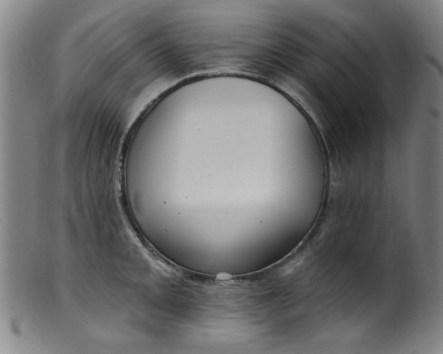 X0000099321093200805161355