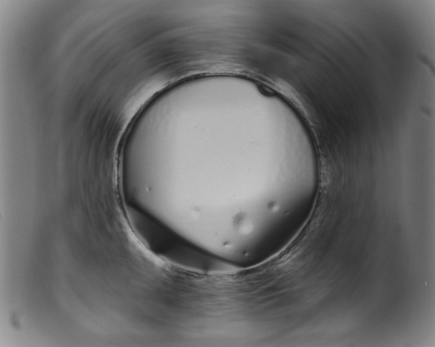 X0000099321095200805161355