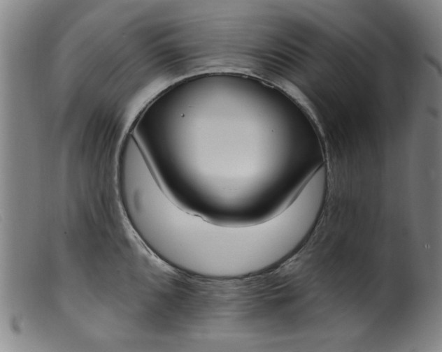 X0000099321096200805161355