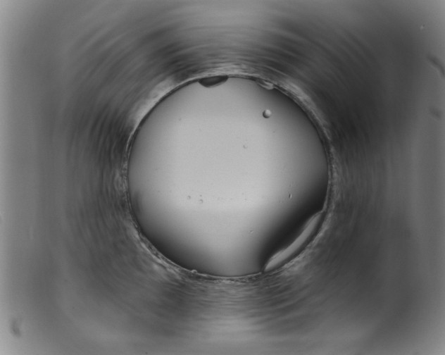 X0000099321097200805161355