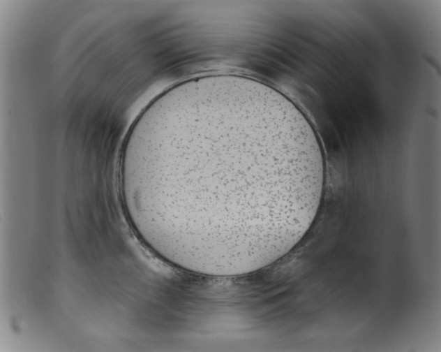 X0000099321098200805161355