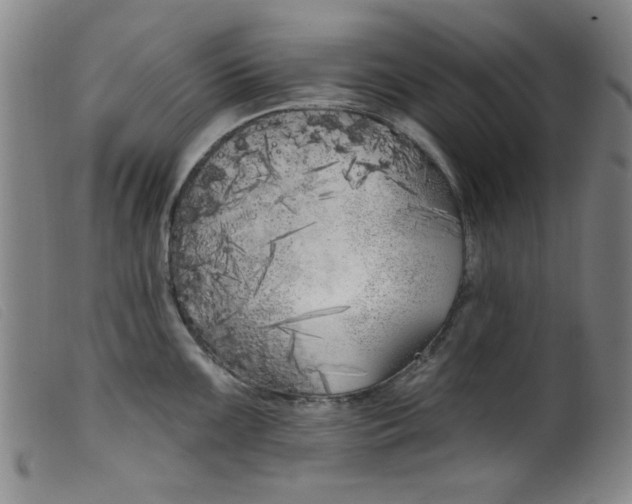 X0000099321099200805161355