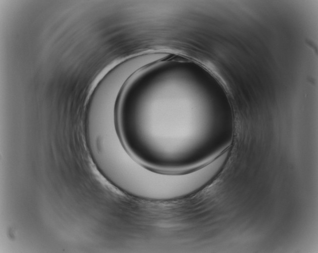 X0000099321100200805161354