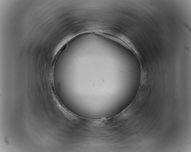 X0000099321101200805161354