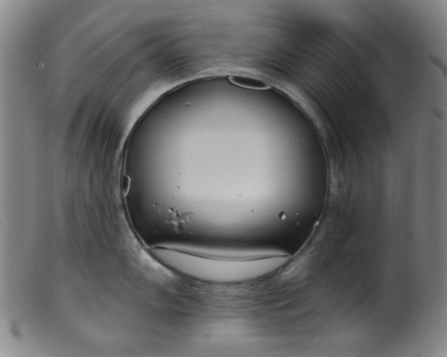 X0000099321102200805161354