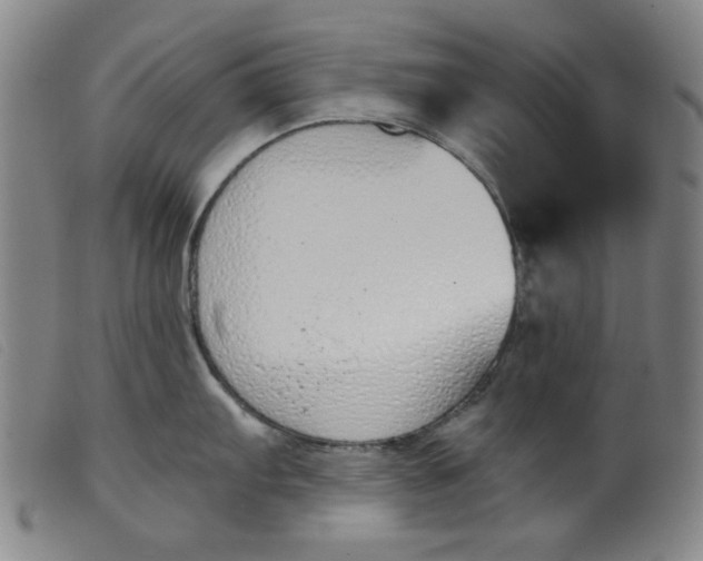 X0000099321103200805161354